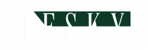 Podnikám česky - logo zelené transparent oříznuté