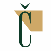 podnikam-cesky-zkratka - transparent