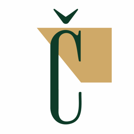 podnikam-cesky-zkratka - transparent